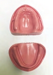 V55 Upper and Lower EDENT Model with Magnets